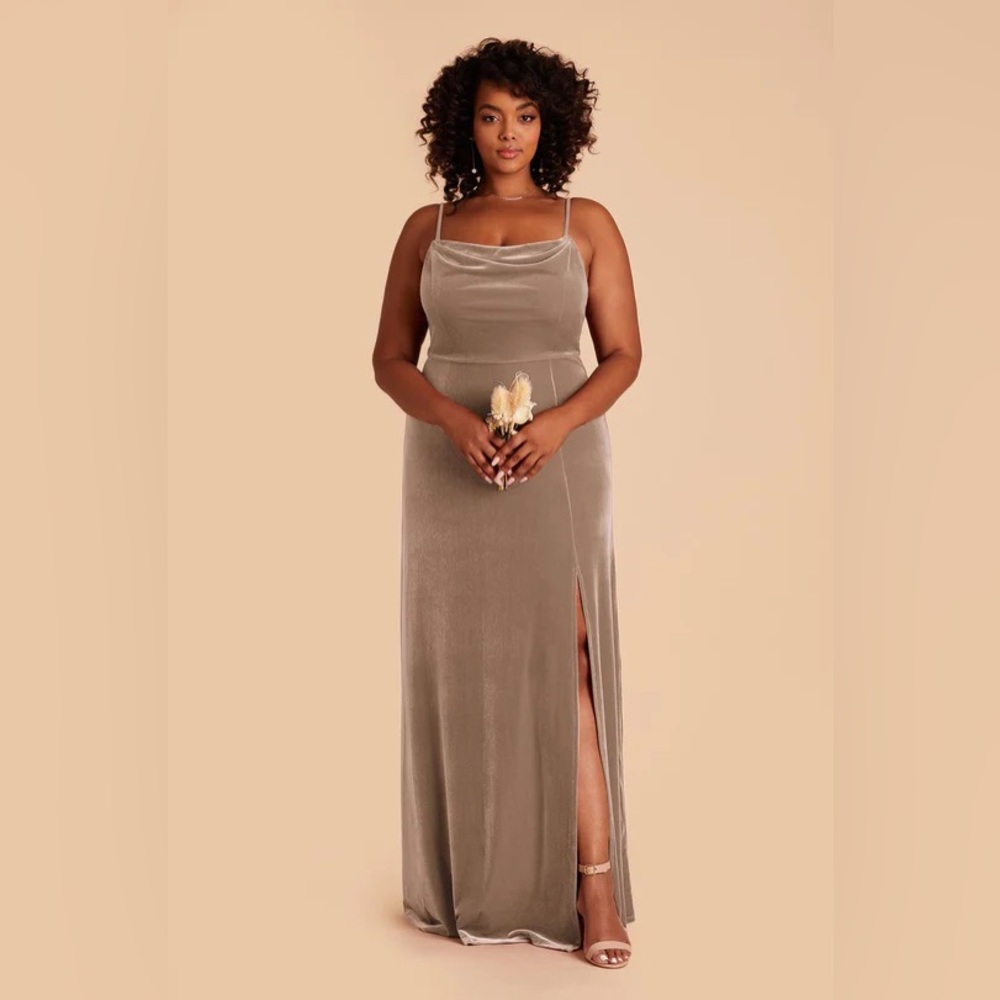 Birdy Grey ash style dress in velvet taupe